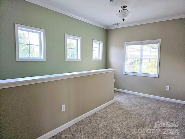 unfurnished room featuring crown molding, plenty of natural light, and carpet flooring