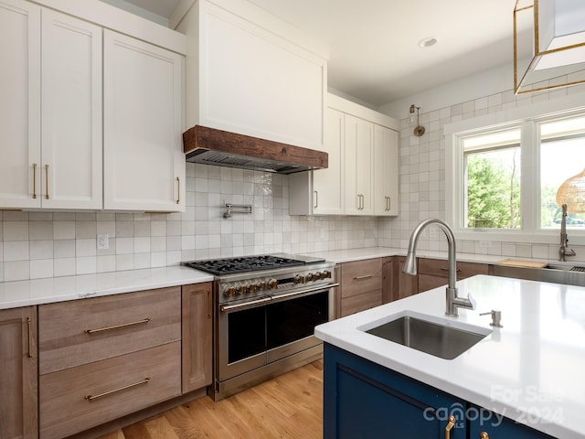 kitchen with decorative backsplash, light hardwood / wood-style floors, white cabinetry, high end stainless steel range oven, and sink