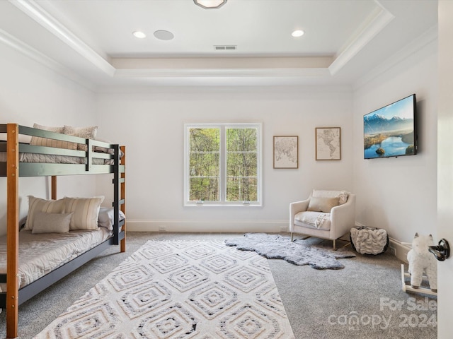 carpeted bedroom with a raised ceiling