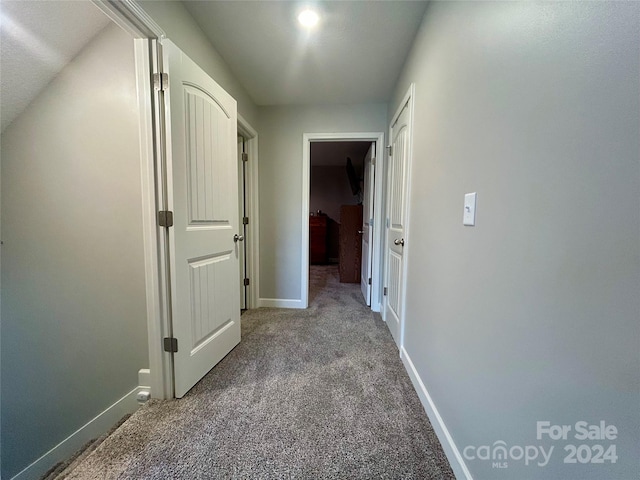 corridor featuring carpet flooring