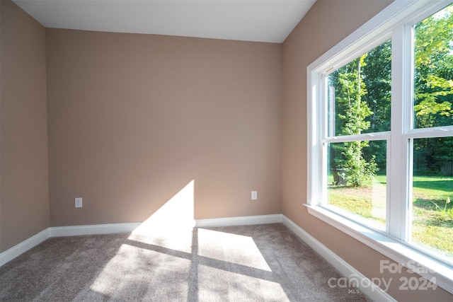 spare room featuring carpet flooring