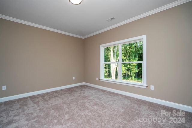 spare room with carpet and crown molding