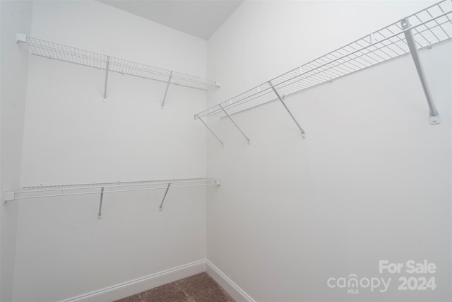 walk in closet featuring carpet