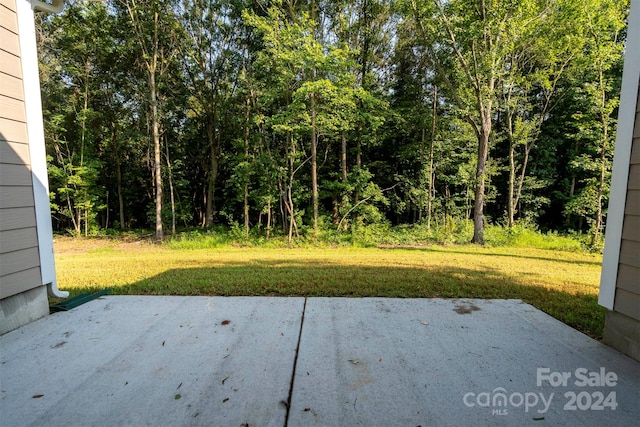 view of yard featuring a patio area