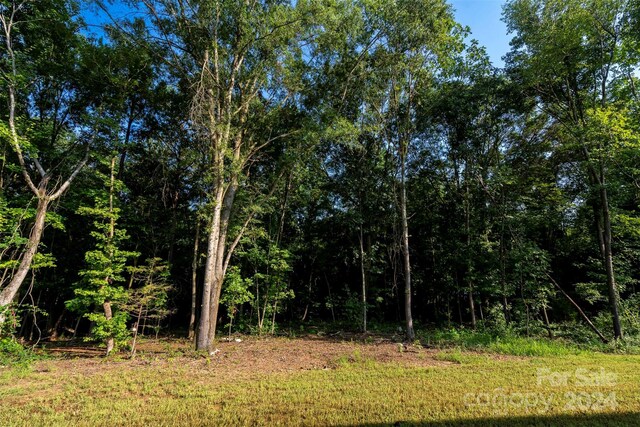 view of local wilderness