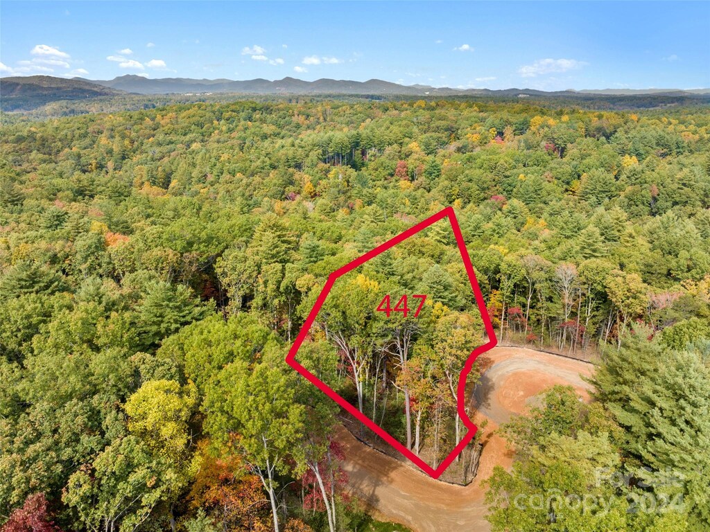 218 Emerald Necklace Dr Unit 447, Asheville, NC 28803 - photo 1