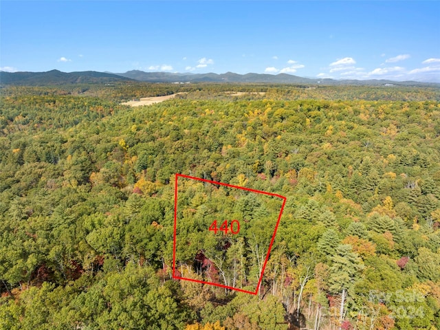 176 Emerald Necklace Dr Unit 440, Asheville NC, 28803 land for sale