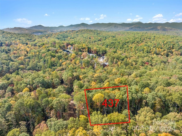 160 Emerald Necklace Dr Unit 437, Asheville NC, 28803 land for sale