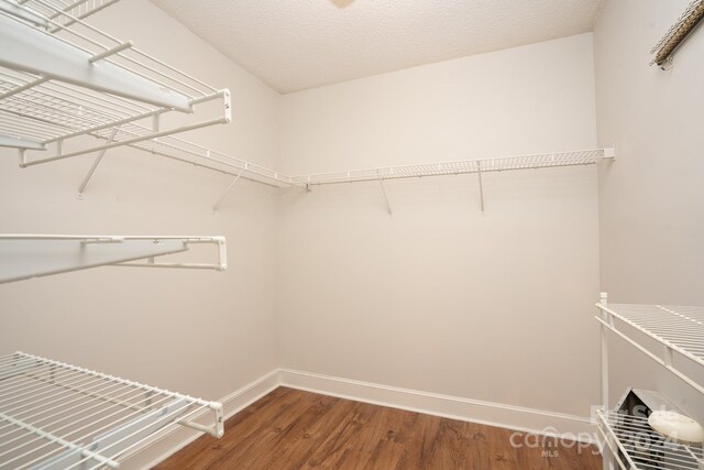 spacious closet featuring hardwood / wood-style floors