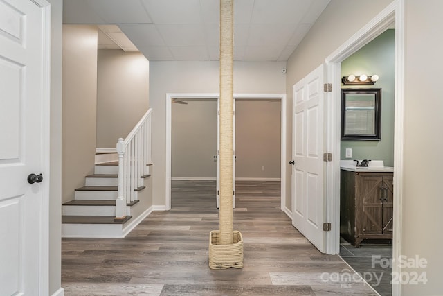 foyer with a drop ceiling and hardwood / wood-style floors