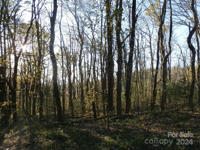 view of local wilderness