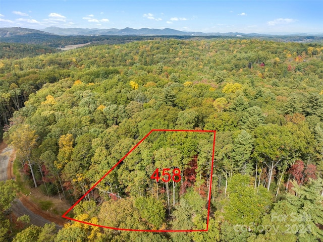 145 Emerald Necklace Dr Unit 458, Asheville NC, 28803 land for sale