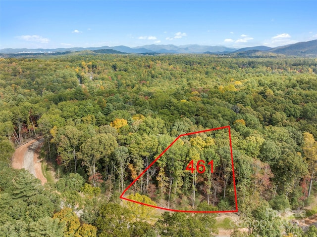 167 Emerald Necklace Dr Unit 461, Asheville NC, 28803 land for sale