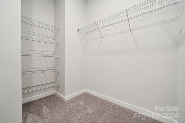 spacious closet with carpet