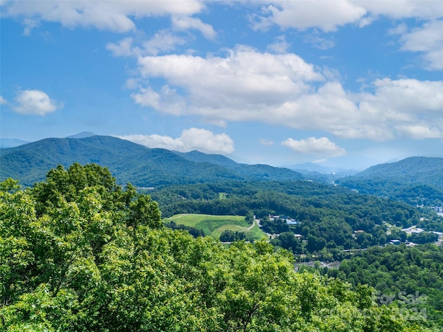 LOT31 White Falcon Dr, Sylva NC, 28779 land for sale