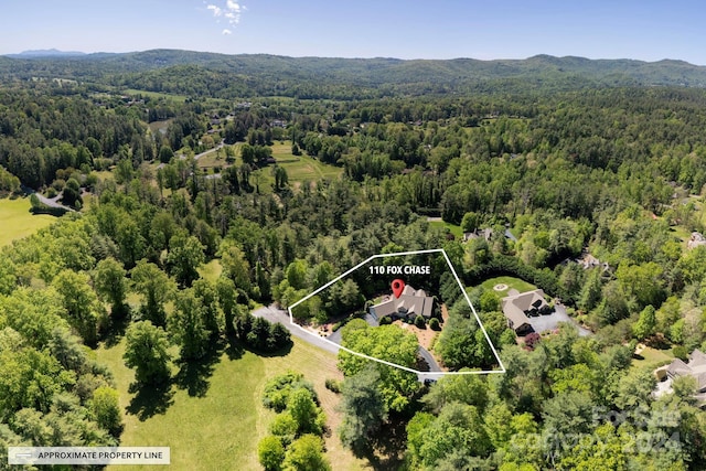 drone / aerial view featuring a mountain view