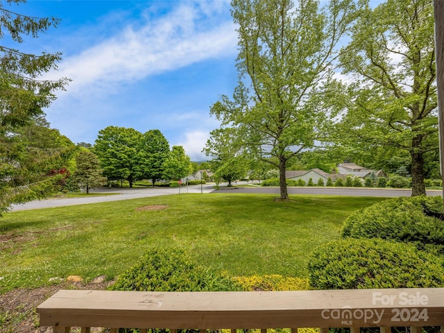 view of property's community with a yard