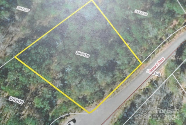 000 Pleasant Pl, Rutherfordton NC, 28139 land for sale