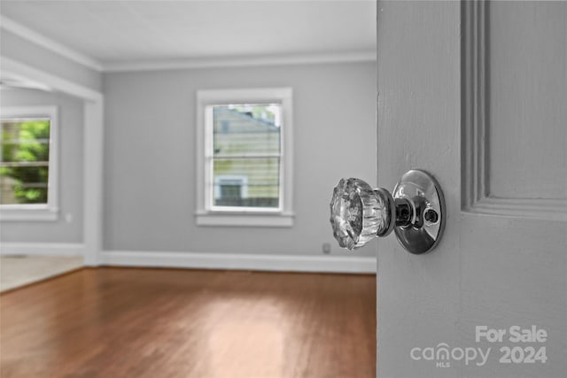 details featuring hardwood / wood-style floors