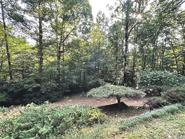 view of local wilderness