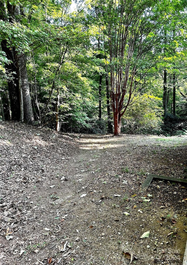 view of landscape