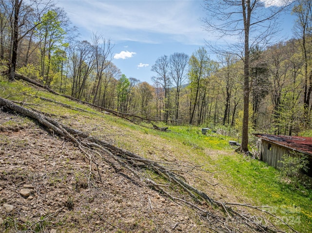 view of local wilderness