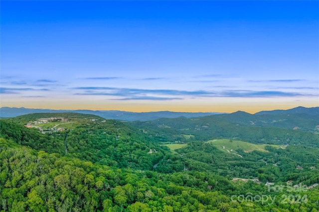 Listing photo 3 for TBD Beech Mountain Parkway, Banner Elk NC 28604