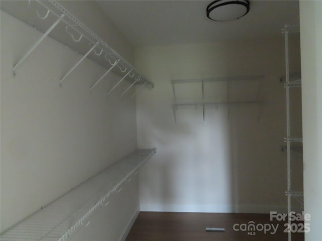 spacious closet featuring wood-type flooring