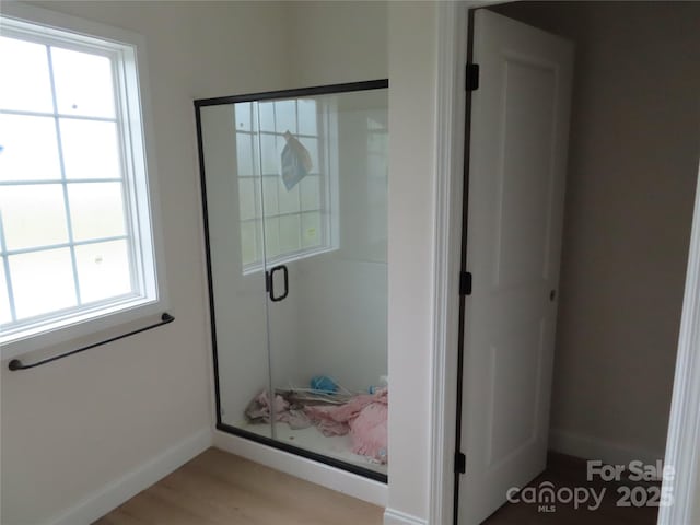 bathroom featuring hardwood / wood-style flooring