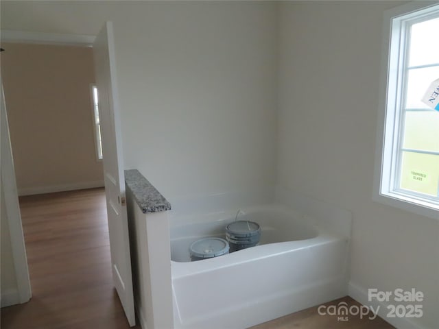 bathroom featuring a bathtub and hardwood / wood-style flooring