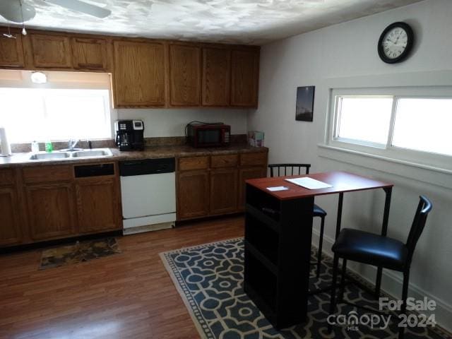 kitchen featuring dark hardwood / wood-style flooring, sink, dishwasher, and ceiling fan