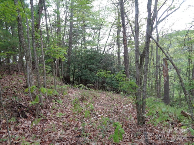 000 Promiseland Rd, Canton NC, 28716 land for sale