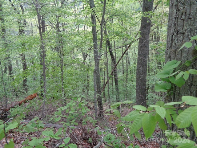 Listing photo 3 for 000 Promiseland Rd, Canton NC 28716