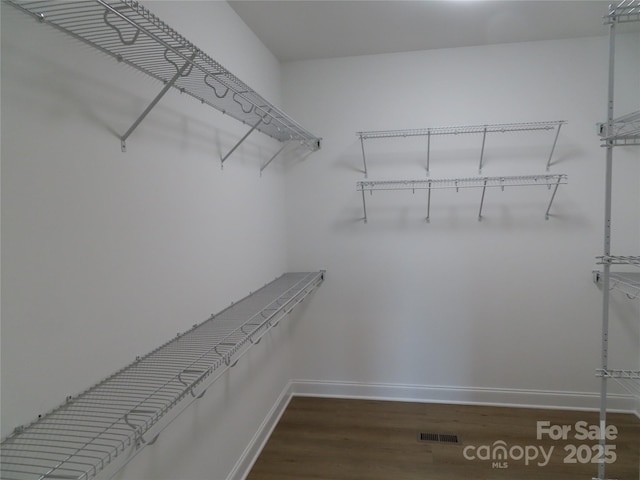 walk in closet featuring dark hardwood / wood-style flooring