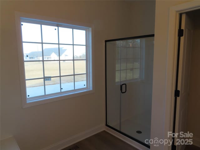 bathroom with hardwood / wood-style floors and an enclosed shower