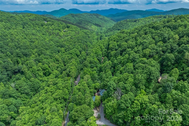 birds eye view of property with a mountain view