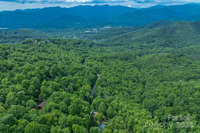 view of mountain view