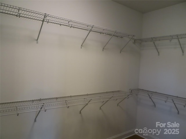 view of walk in closet