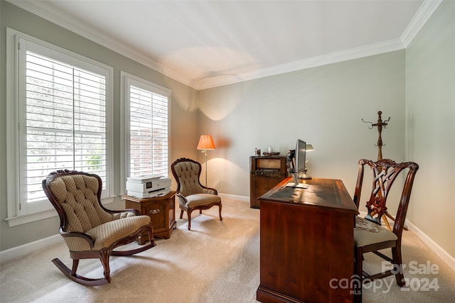 home office featuring crown molding and carpet floors