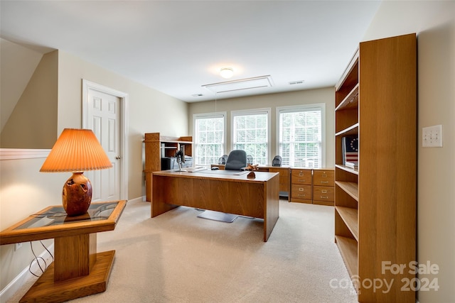 office featuring light colored carpet