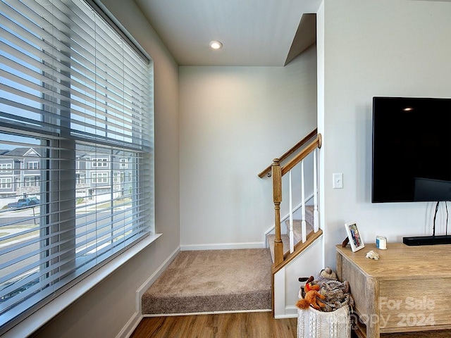 stairway with hardwood / wood-style floors