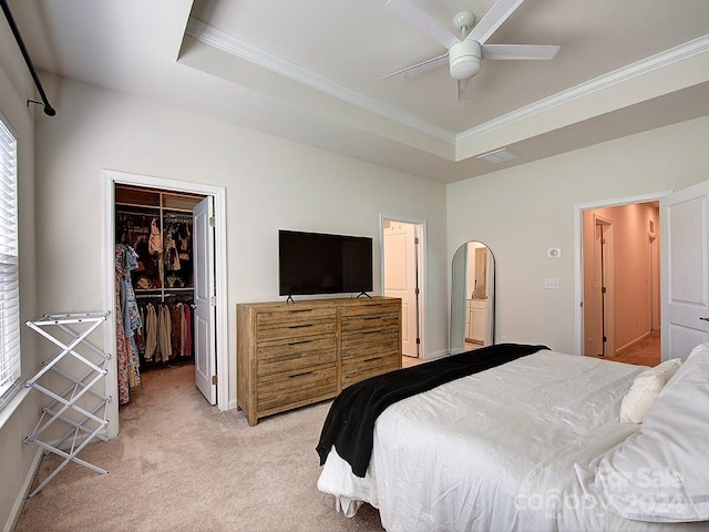 carpeted bedroom featuring a closet, ceiling fan, a tray ceiling, a walk in closet, and crown molding