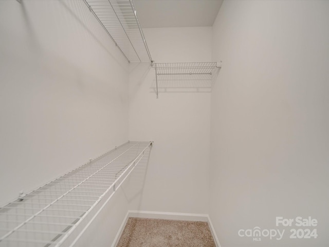 walk in closet featuring carpet