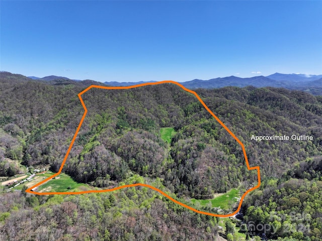 2180 Pigeon Roost Rd, Green Mountain, NC 28740 - aerial view with a mountain view
