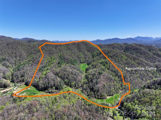 aerial view with a mountain view