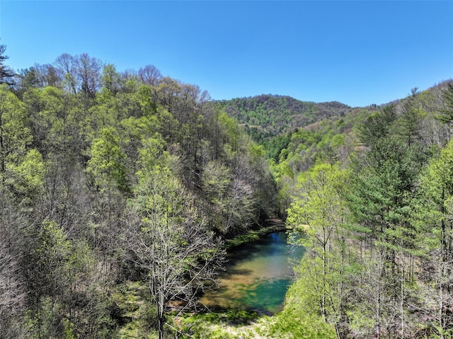 property view of mountains with a water view