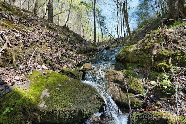 view of nature with a water view