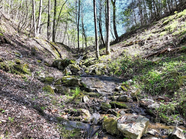 view of nature featuring a water view