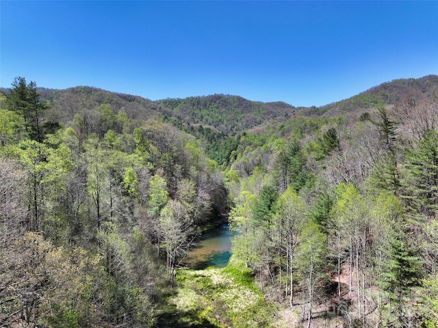 property view of mountains with a water view