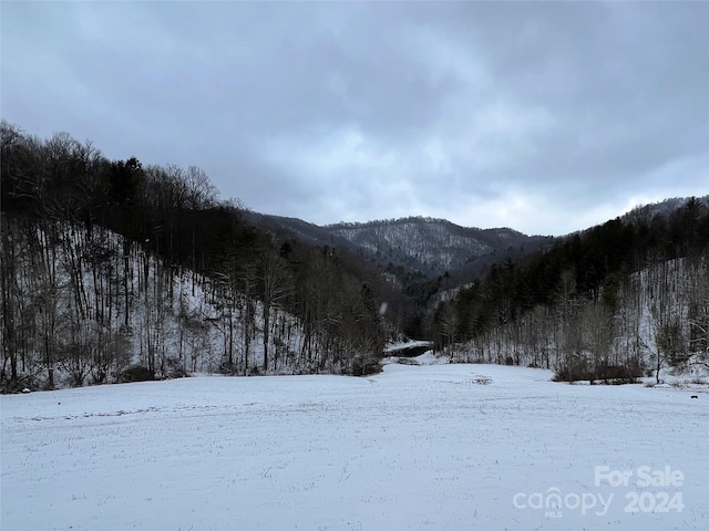 view of mountain feature